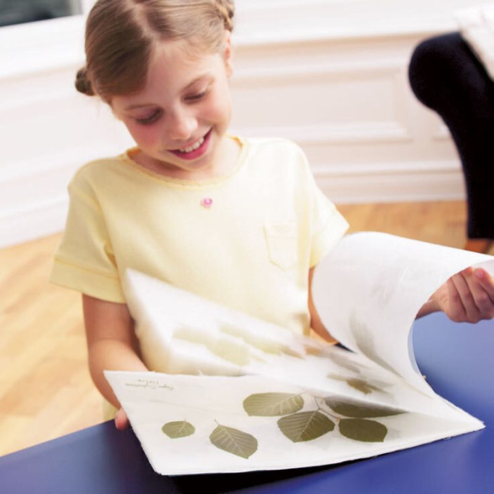 Folia do laminacji FELLOWES 100mic. A3 100ark. (8)