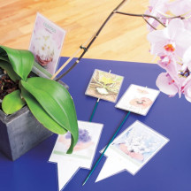 Folia do laminacji FELLOWES 125mic. 65x95 100ark. (9)