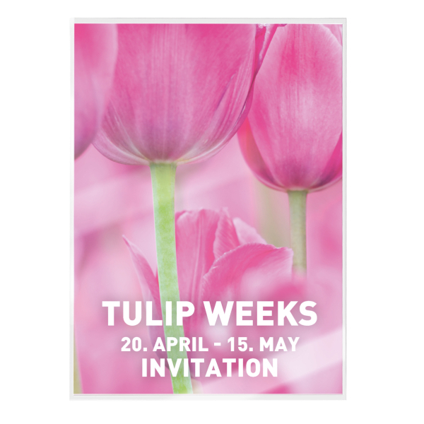 Folia do laminacji LEITZ UDT A3 100mic 100szt. (23)