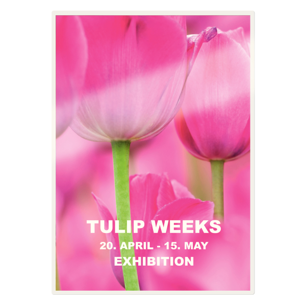 Folia do laminacji LEITZ UDT A3 125mic. 100szt. (14)