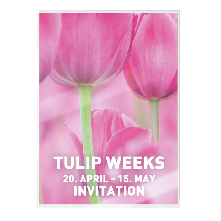 Folia do laminacji LEITZ UDT A4 100mic 100szt. (8)