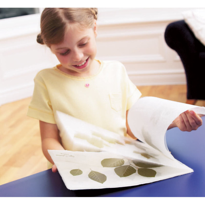 Folia do laminowania FELLOWES A4 250mic. 100ark.