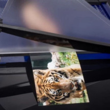 Gilotyna nożycowa do papieru OPUS Eurocut A3 (4)