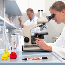 Marker EDDING laboratoryjny 8014 okrągły 1mm czarny