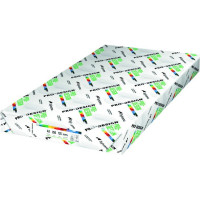 Papier PRO-DESIGN A3 250g do drukarki i ksero 125 ark. ryza